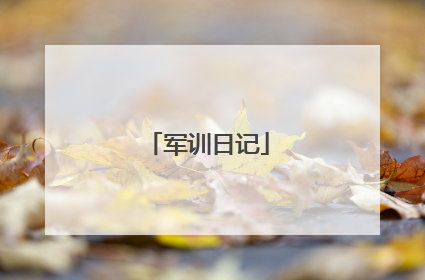 军训日记