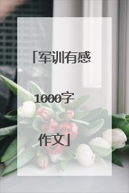 军训有感1000字作文