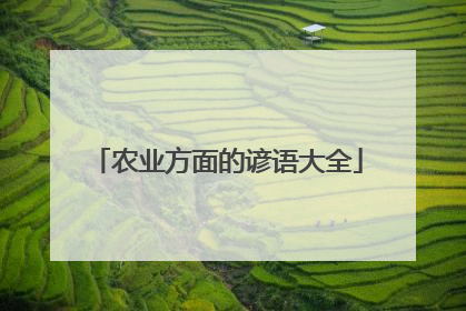 农业方面的谚语大全
