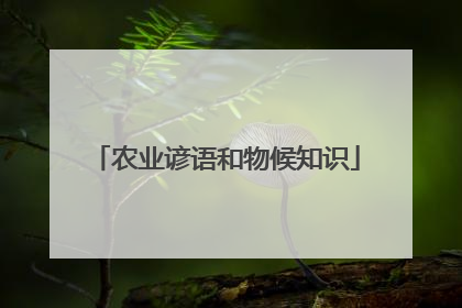 农业谚语和物候知识