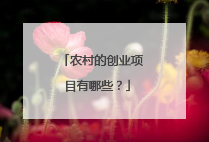 农村的创业项目有哪些?
