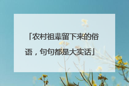 农村祖辈留下来的俗语，句句都是大实话