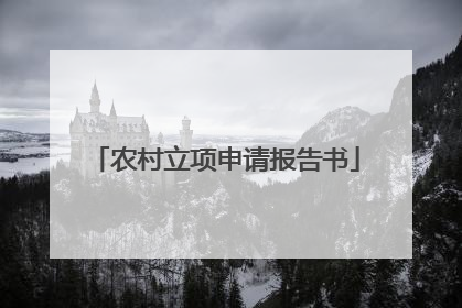 农村立项申请报告书