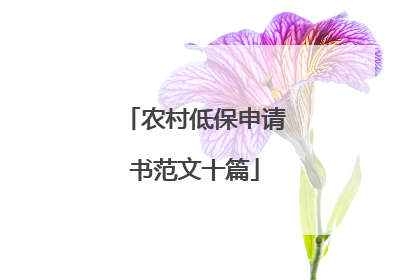 农村低保申请书范文十篇