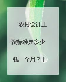 农村会计工资标准是多少钱一个月?