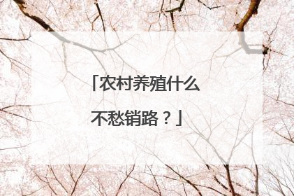 农村养殖什么不愁销路？