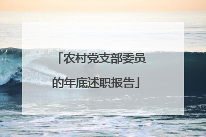 农村党支部委员的年底述职报告