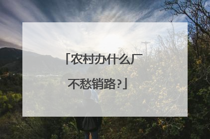 农村办什么厂不愁销路?