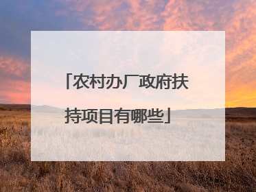 农村办厂政府扶持项目有哪些