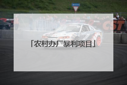 农村办厂暴利项目