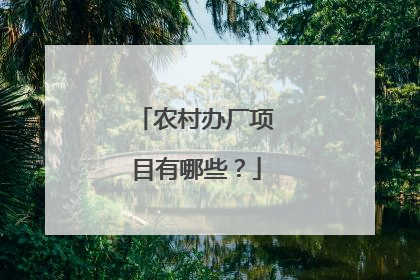农村办厂项目有哪些？