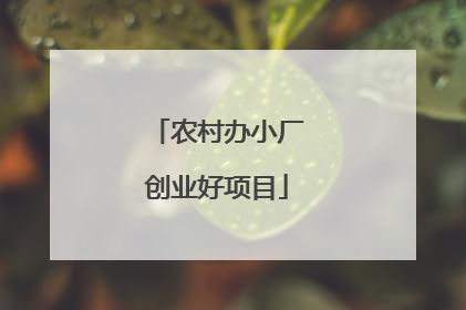 农村办小厂创业好项目