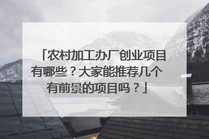 农村加工办厂创业项目有哪些？大家能推荐几个有前景的项目吗？