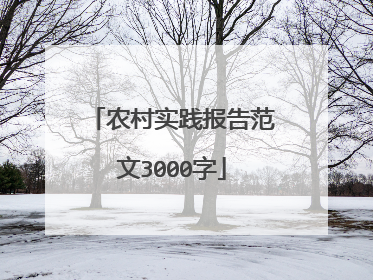 农村实践报告范文3000字