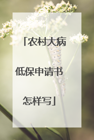 农村大病低保申请书怎样写