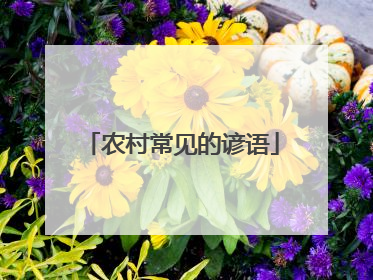 农村常见的谚语