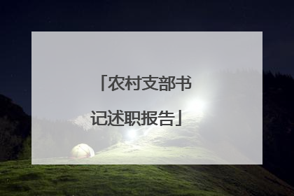 农村支部书记述职报告