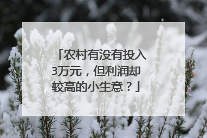 农村有没有投入3万元，但利润却较高的小生意？