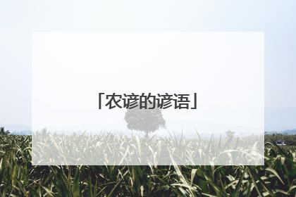 农谚的谚语