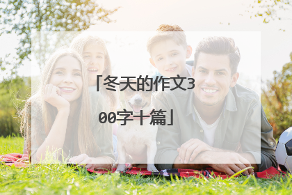 冬天的作文300字十篇