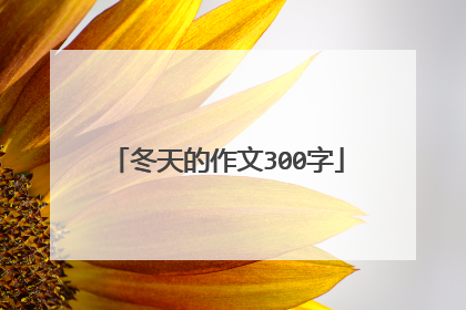 冬天的作文300字