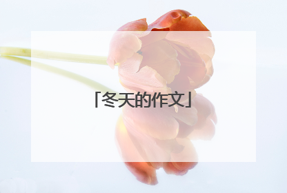冬天的作文