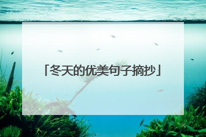 冬天的优美句子摘抄