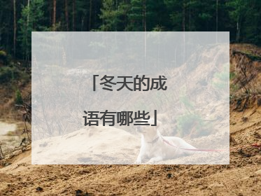 冬天的成语有哪些