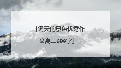 冬天的景色优秀作文高二600字