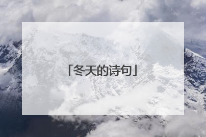 冬天的诗句