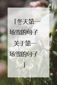 冬天第一场雪的句子 关于第一场雪的句子