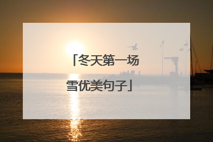 冬天第一场雪优美句子