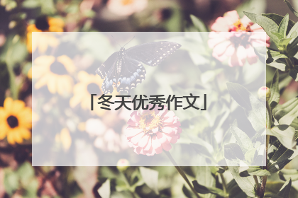 冬天优秀作文