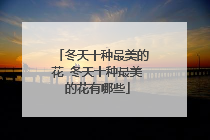 冬天十种最美的花 冬天十种最美的花有哪些