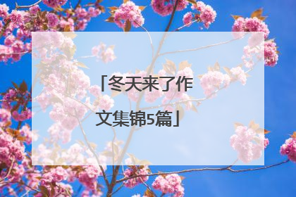 冬天来了作文集锦5篇