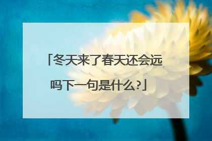 冬天来了春天还会远吗下一句是什么?