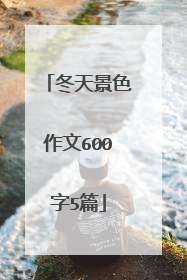 冬天景色作文600字5篇