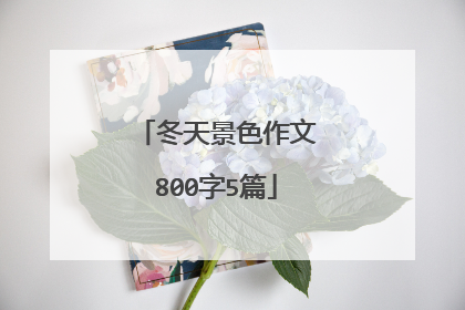 冬天景色作文800字5篇