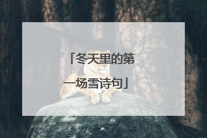 冬天里的第一场雪诗句