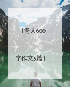 冬天600字作文5篇