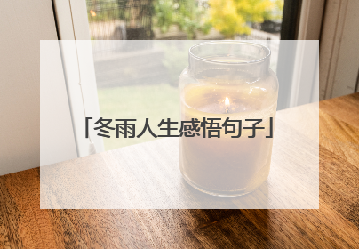 冬雨人生感悟句子