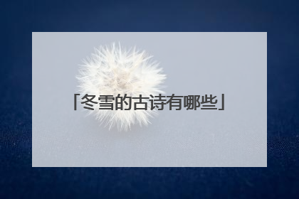 冬雪的古诗有哪些