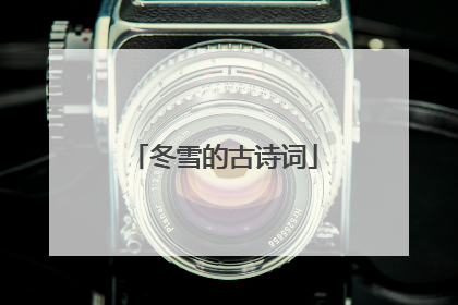 冬雪的古诗词