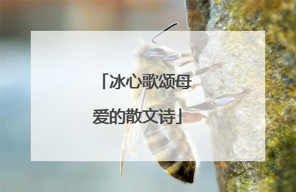 冰心歌颂母爱的散文诗