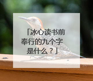 冰心读书前奉行的九个字是什么？