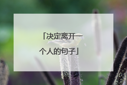 决定离开一个人的句子