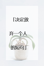 决定放弃一个人的短句