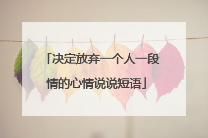 决定放弃一个人一段情的心情说说短语