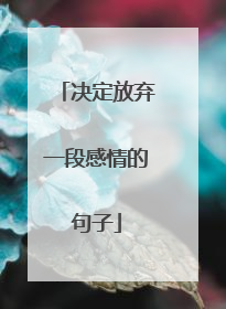 决定放弃一段感情的句子