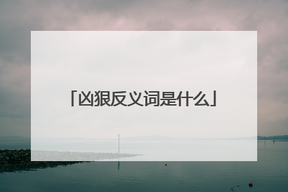 凶狠反义词是什么